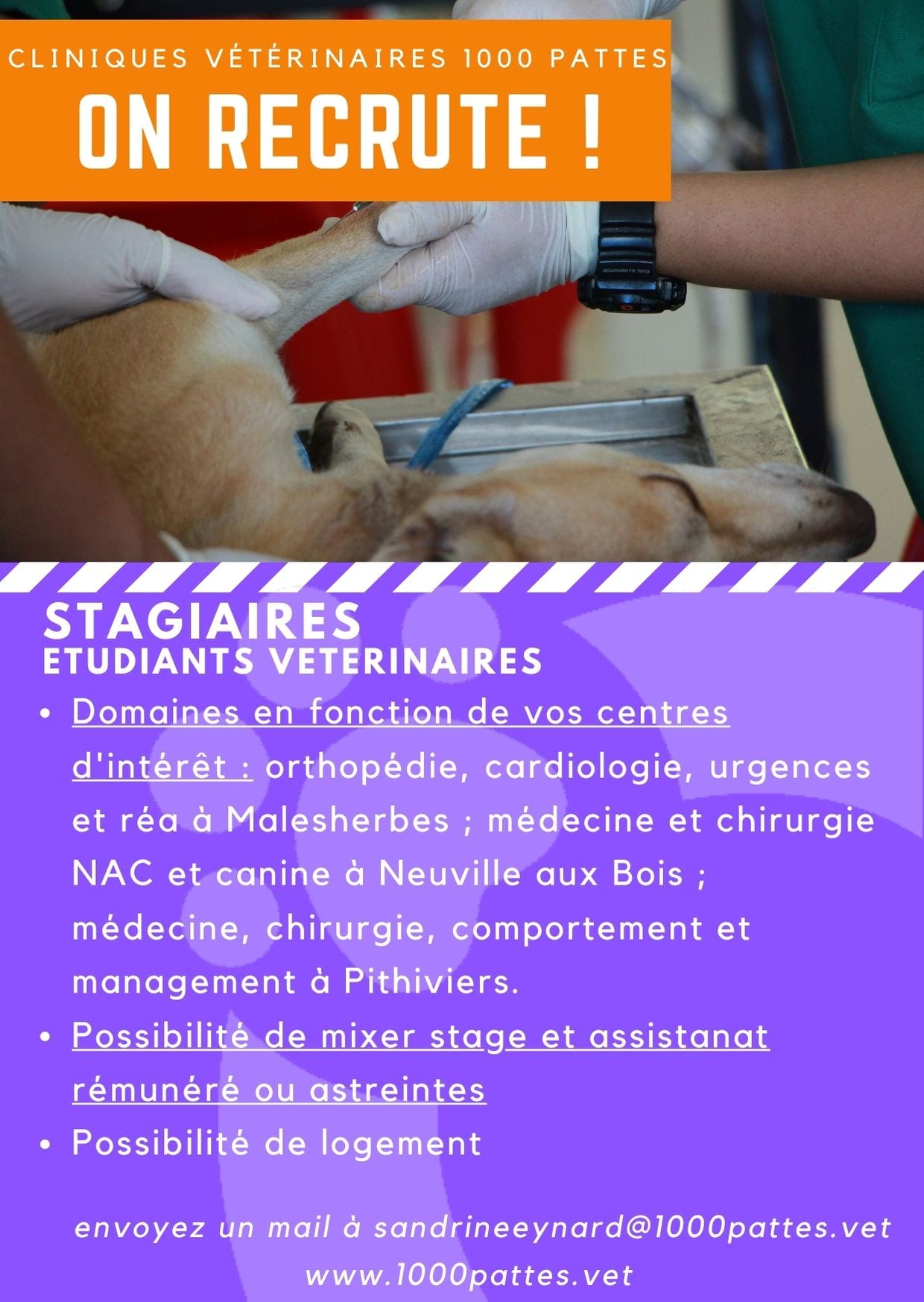 stagiaires