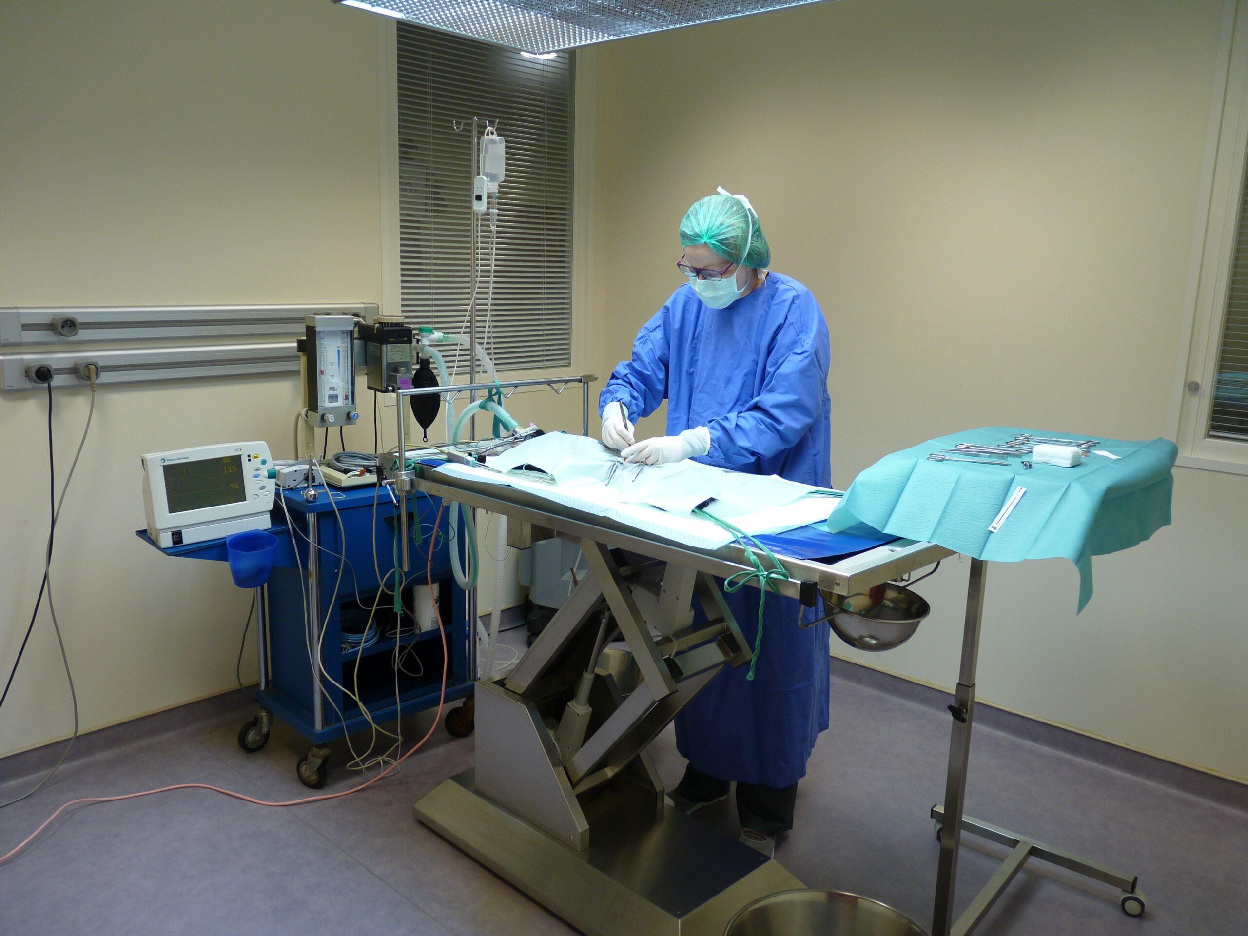 Le Dr Magali Jacob en cours d’opération à Malesherbes